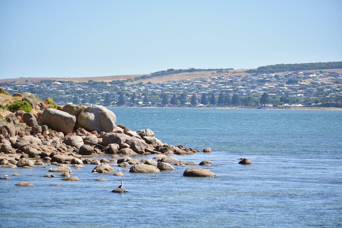 free-photo-of-rock-n-blues