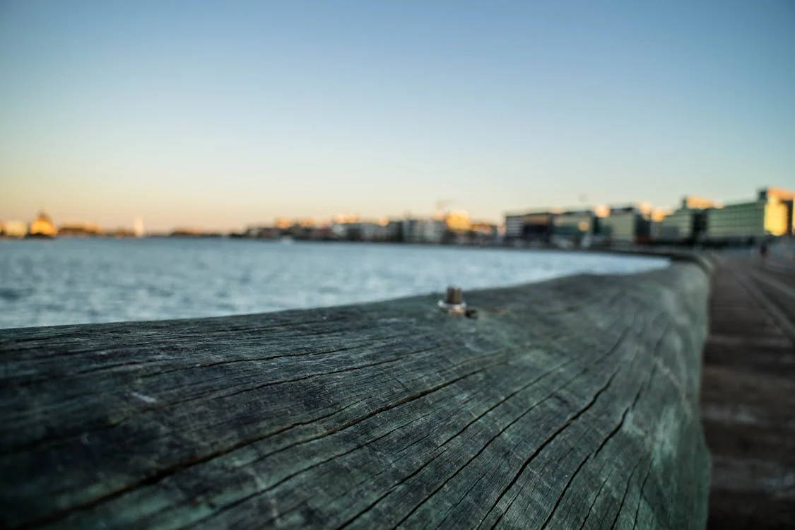 pexels-photo-240559