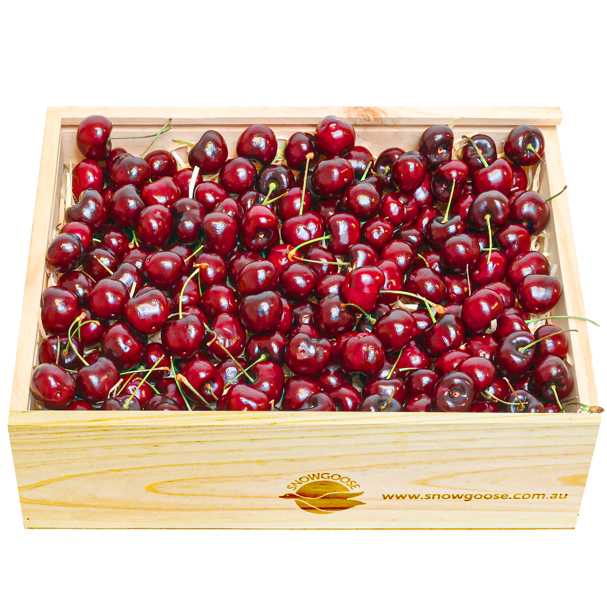Cherry2025