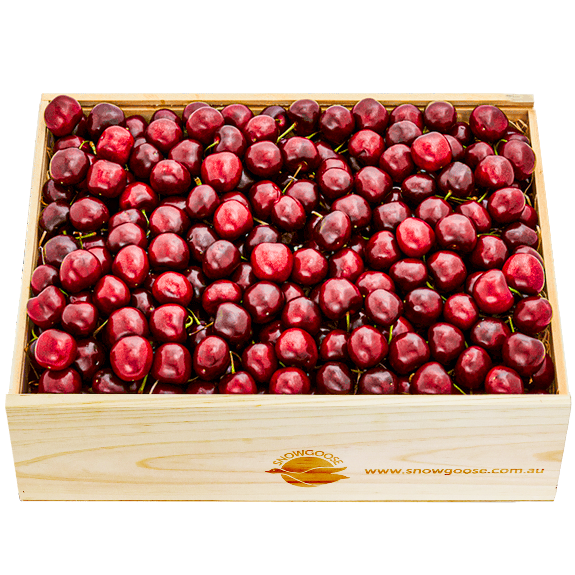 CherryLarge