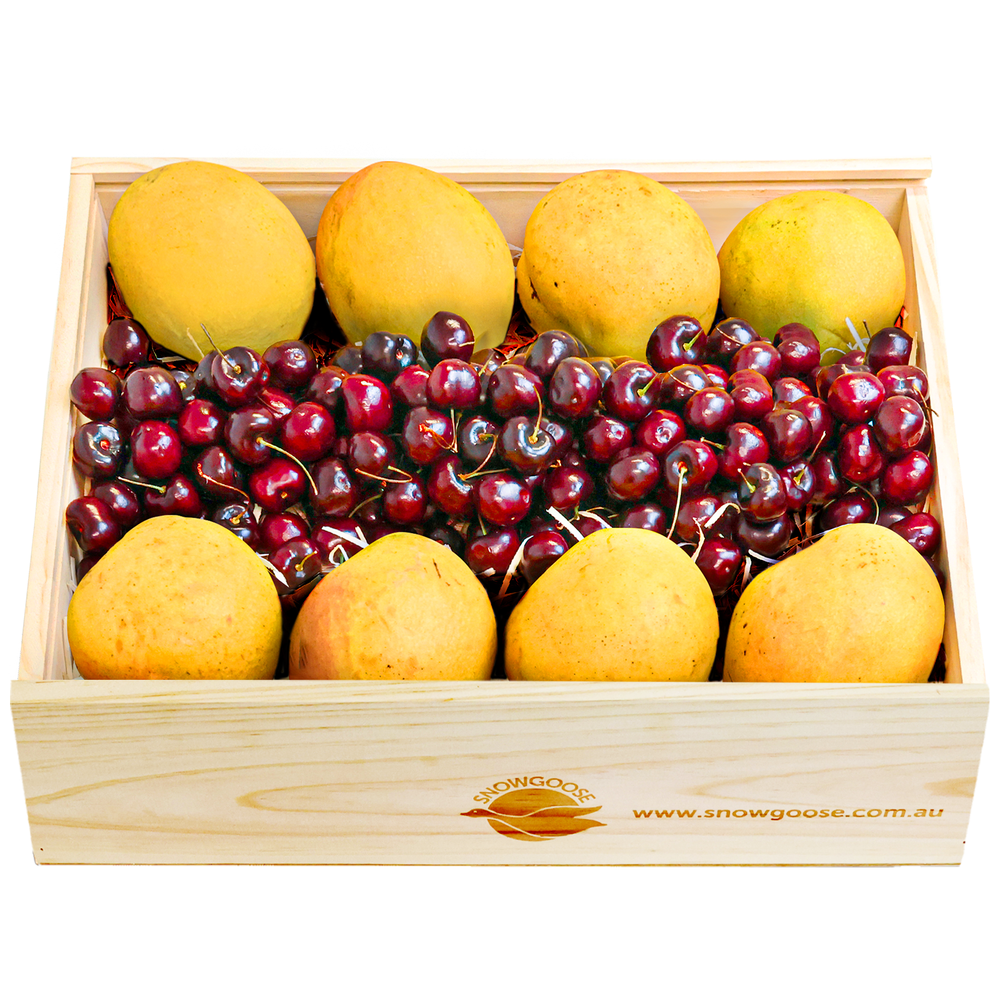 MangoCherry8Large 2025